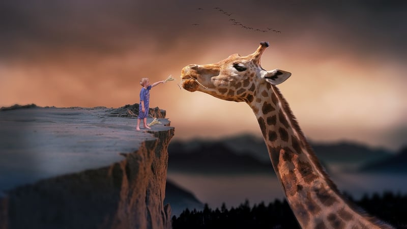 Imaginative Quests